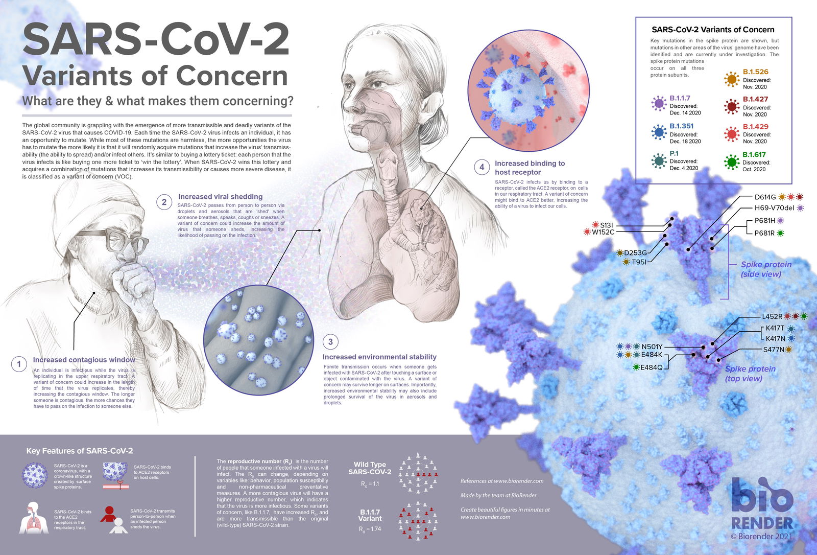 COVID19 台灣學術知識分享站