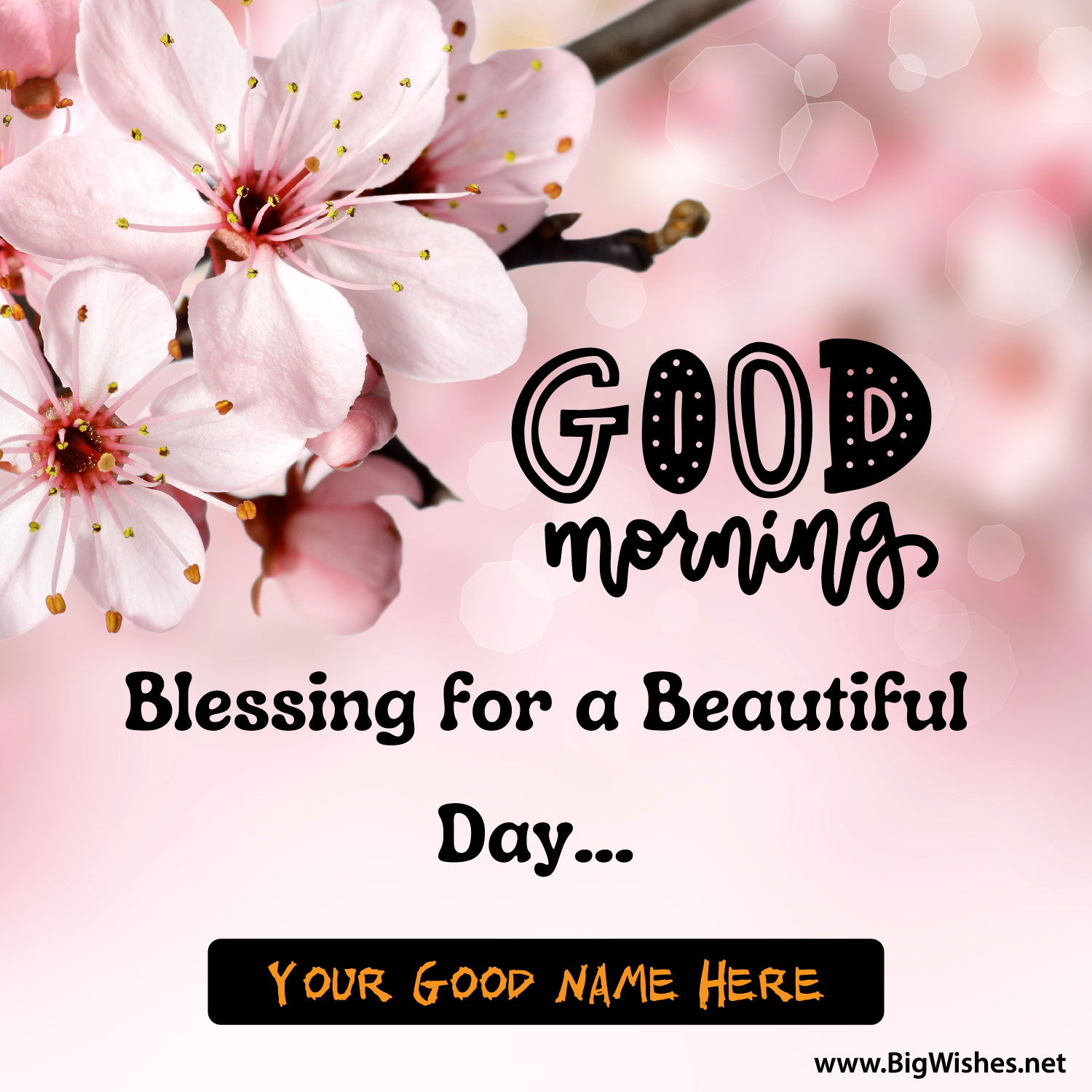 Good Morning Wishes with Flower Image | Create Morning Card Online