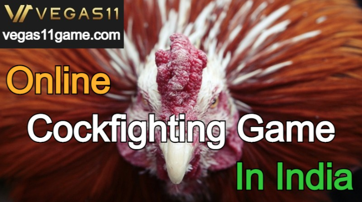 Online cockfighting game in india／भारत में ऑनलाइन मुर्गों की लड़ाई का खेल
