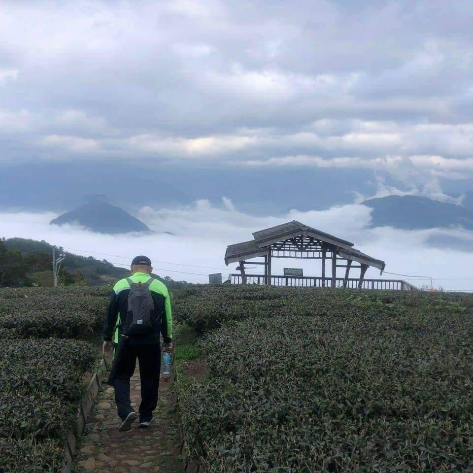 正心官網嗷嗷嗷