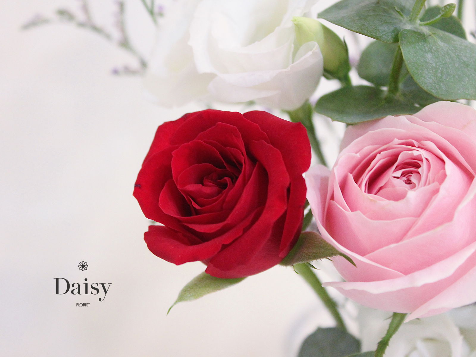 單品種花材包訂購（7/27取花）