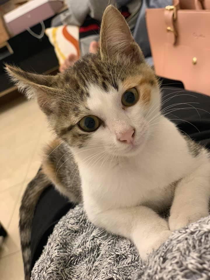 蝦皮賣場-吃貨嚴選❤️