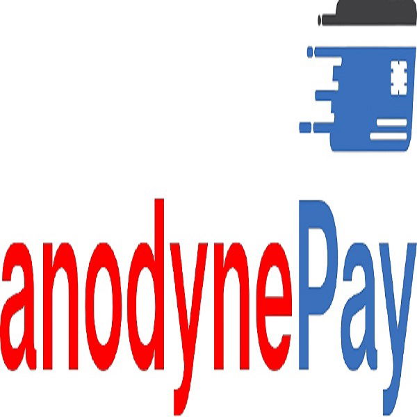 About Patient Financial Services Offered by Aanodyne Pay
