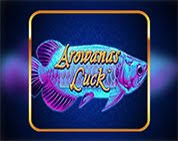 AROWANAS LUCK 96% | AUTO SPIN 30 - 40 - 20 - 50 