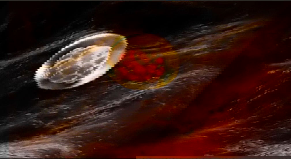 3D MAYA動畫製作練習影片