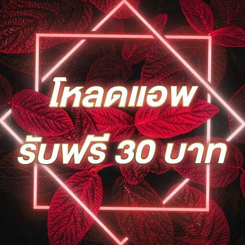 โหลดแอพ รับฟรี 30 บาท