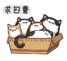 [LINE貼圖]杜氏喵窩的實用貼圖