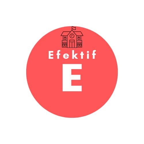 1 EFEKTIF