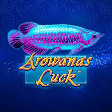 AROWANAS LUCK 96% | AUTO SPIN 30 - 40 - 20 - 50 