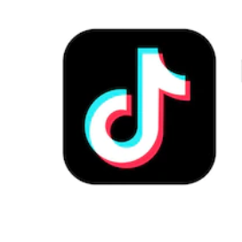 TikTok ShogunZ Paint