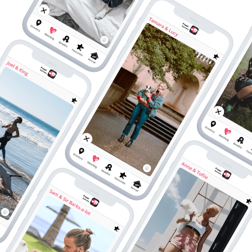 Support Animal Welfare - Dog Charity