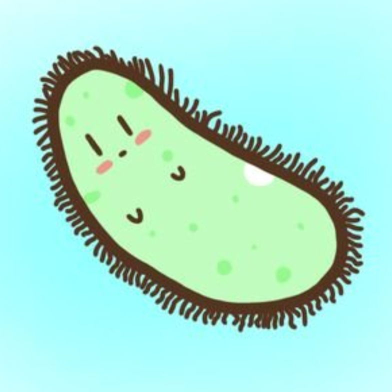 白日夢匿名問題表單