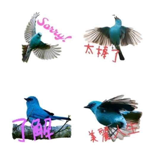 🔗免費貼圖4-銅藍鶲系列二