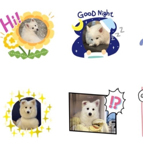 🔗免費貼圖7-可愛的狐狸狗狗