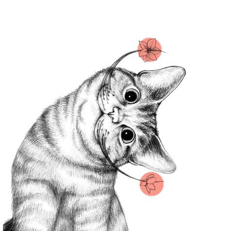 一次性 發光棒產品✨