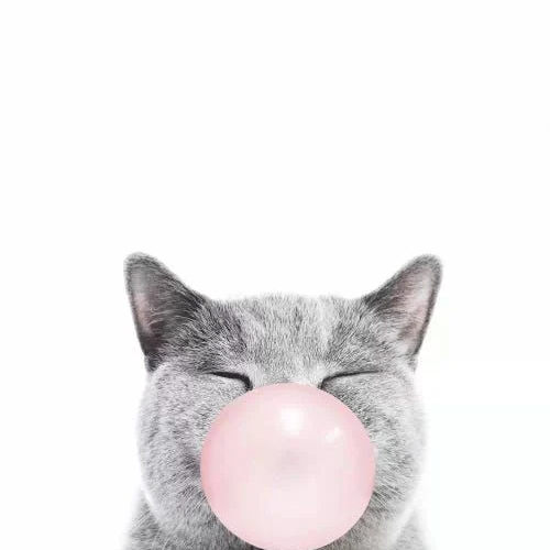 精選30ML小煙油✨