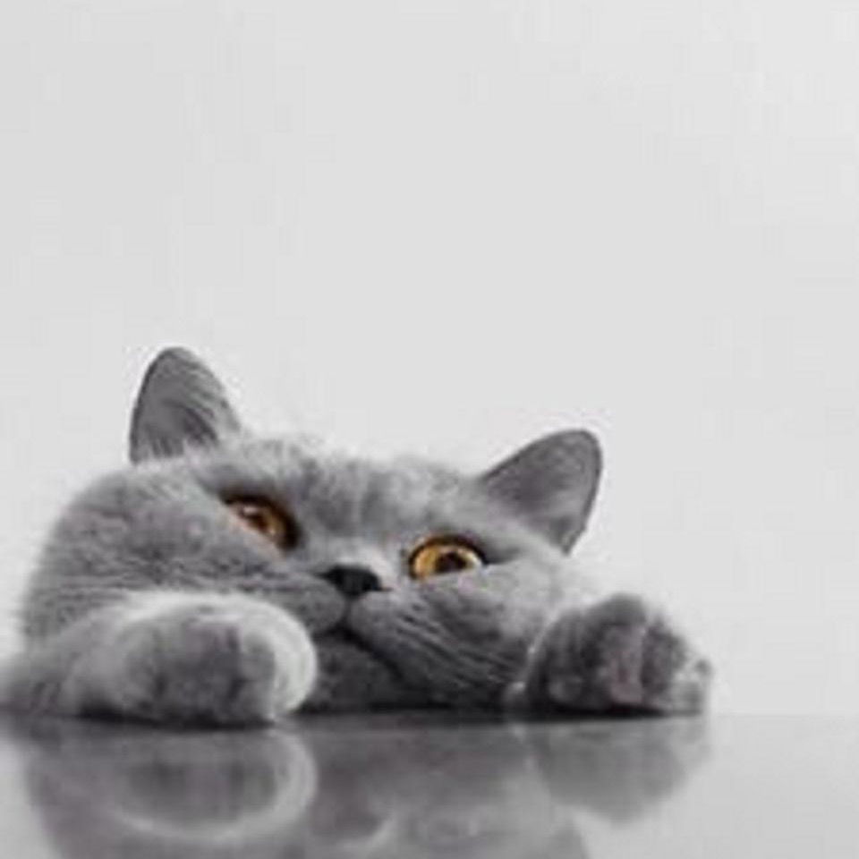 精選60ML 大煙油✨