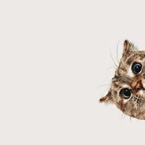 精選注油式小煙✨