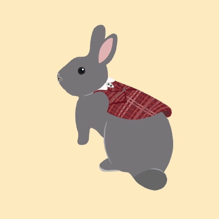 哺滴小舖賣貨便－W手作貓狗款衣服(1)