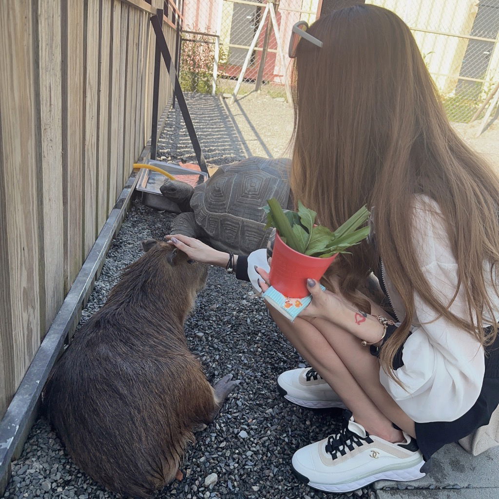 柒の雜貨店💜3c/日常用品