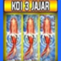 EVENT 3 JEJER KOIGATE