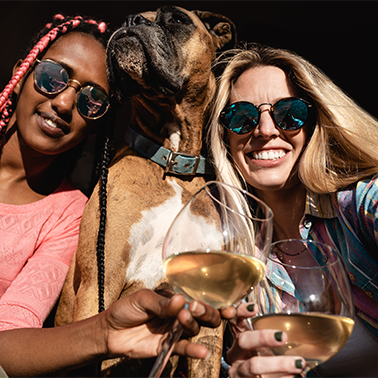 Dog Dating Benefits - Dog Dating Tips