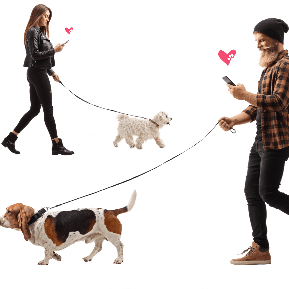 Do You Want To know more about Dog Lovers Directory?