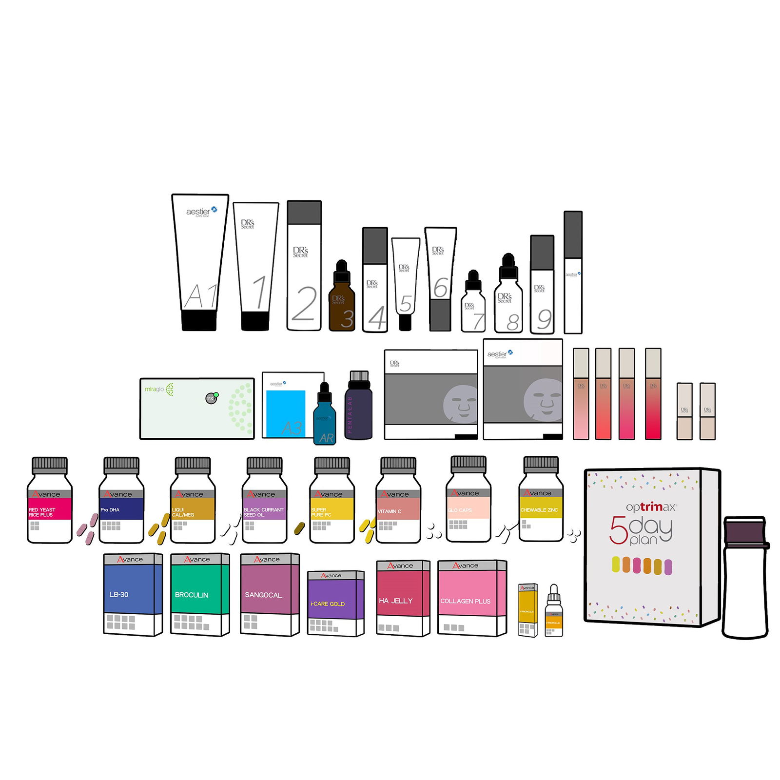 線上購買/推薦人填寫TW70203899