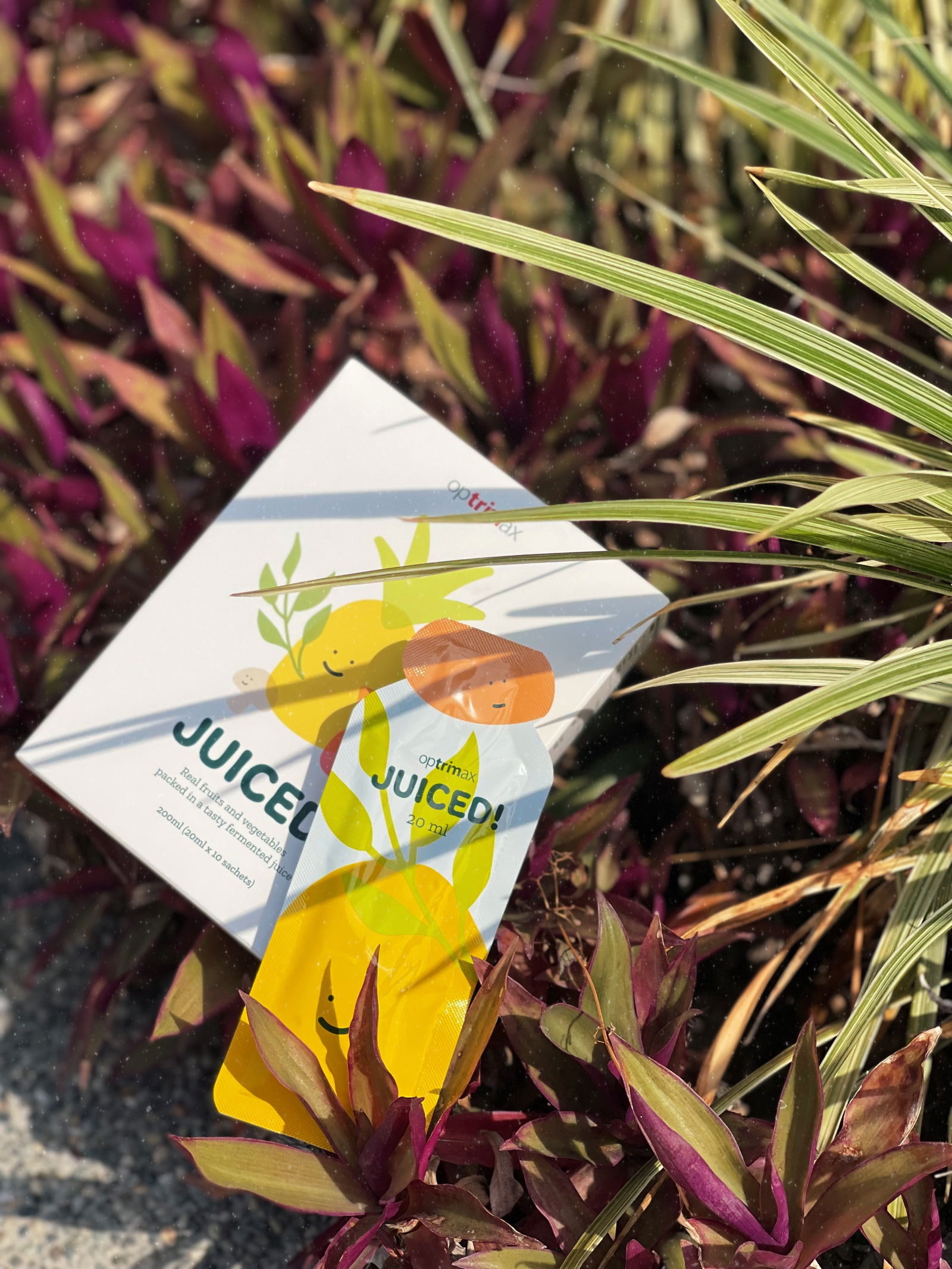 #助排便消脹氣營養++｜清輕漿（超級推）