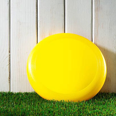 A Guide to Ultimate Frisbee Discs and Purchasing Considerations 