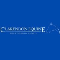 The Importance of Periodic Vet Visits in Essex