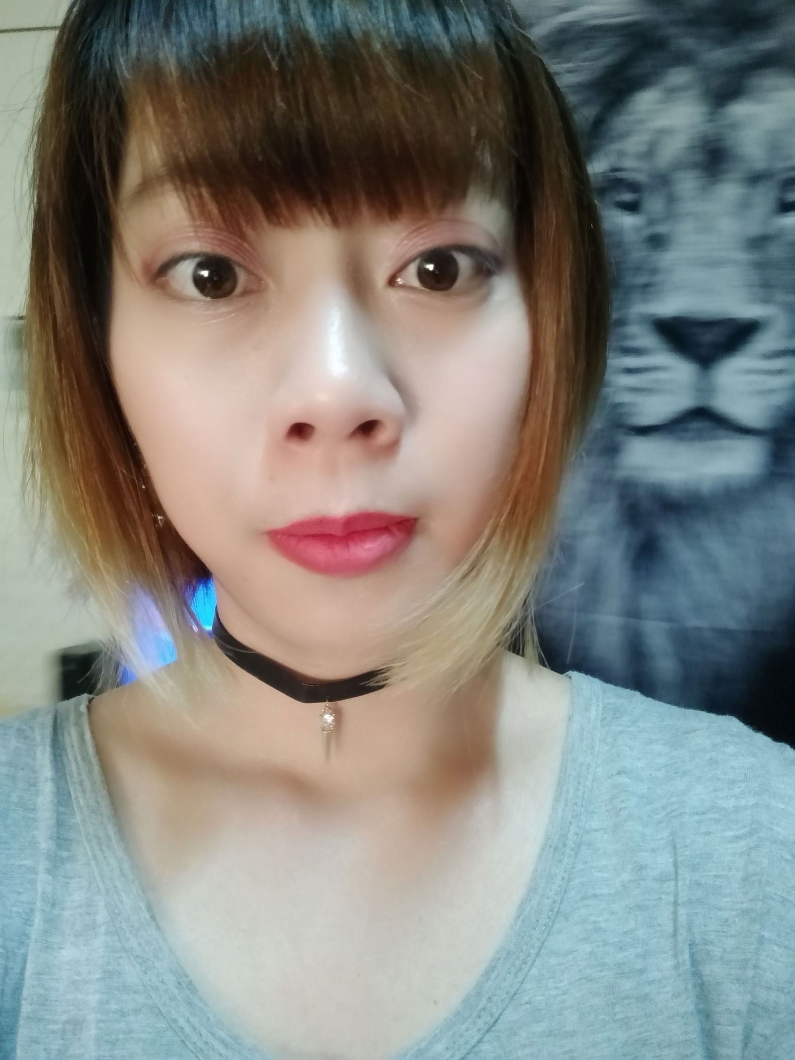 線上購買/推薦人填寫   TW70566799