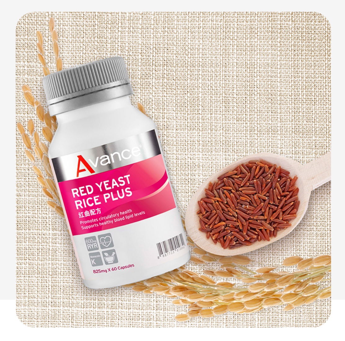 紅麴膠囊｜      防血栓好助力