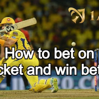 How to Cricket Betting? Best guide for beginners!