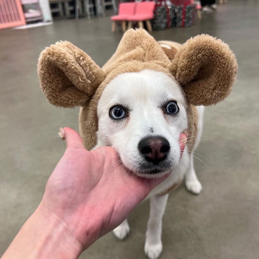 𝗜𝗻𝘀𝘁𝗮𝗴𝗿𝗮𝗺 𝗚𝗮𝗺𝗶𝗻𝗴 𝗮𝗰𝗰𝗼𝘂𝗻𝘁 