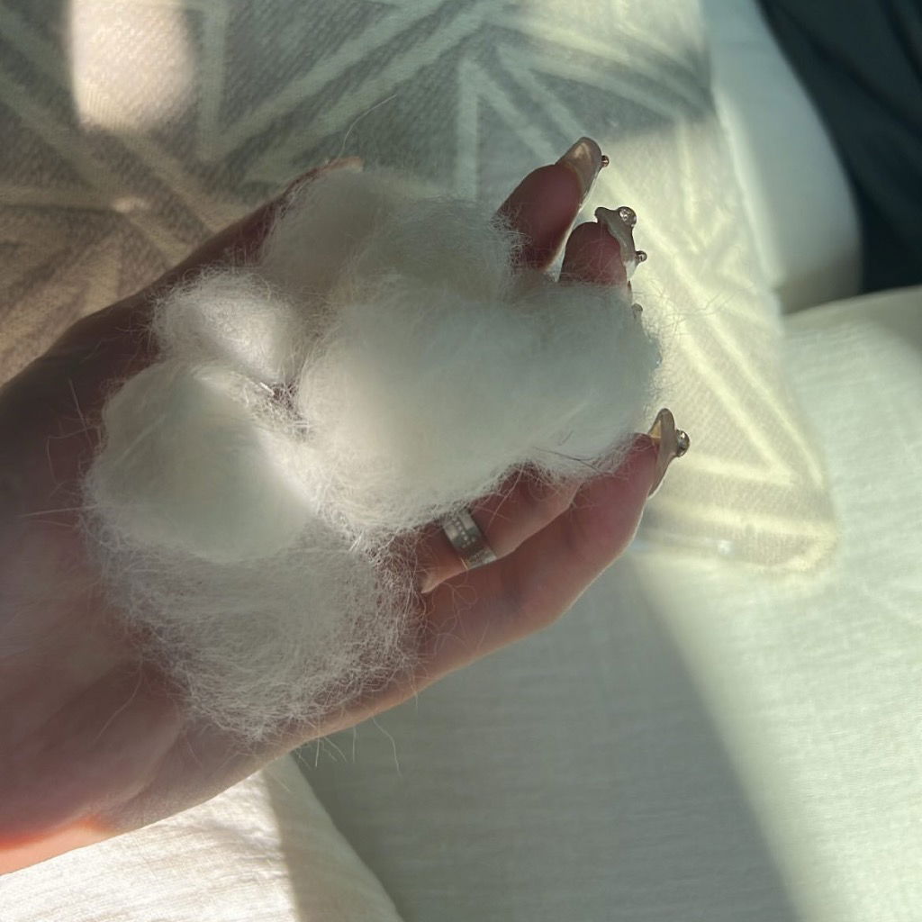 ɪɴsᴛᴀɢʀᴀᴍ ᴅᴀɪʟʏ ᴀᴄᴄᴏᴜɴᴛ 