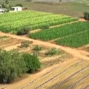 C5工業 — 2009SP-2022DSE(年份)