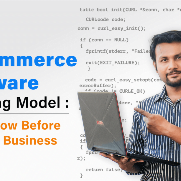 E-commerce Software Working Model: Know Before Starting Business 2022