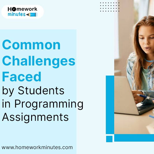 Common Challenges Faced by Students in Programming Assignments