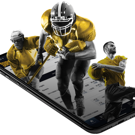 BONUS NEXT DEPOSIT BOLAPALEM 10%