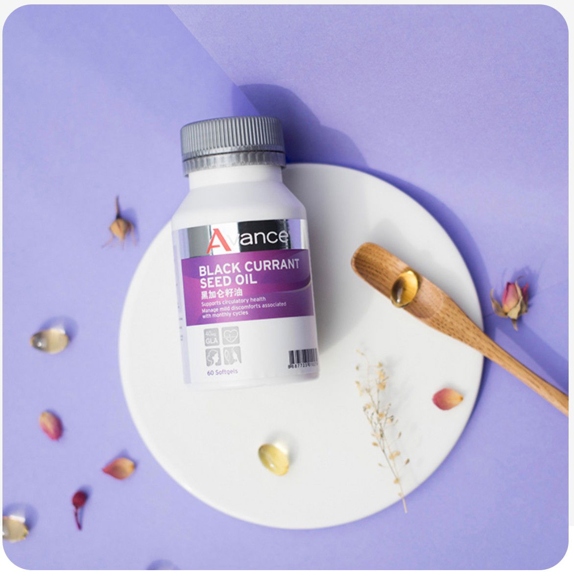 維格爾 黑醋栗籽油膠囊狀食品