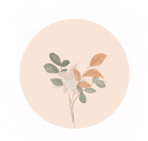 我的肌膚小故事