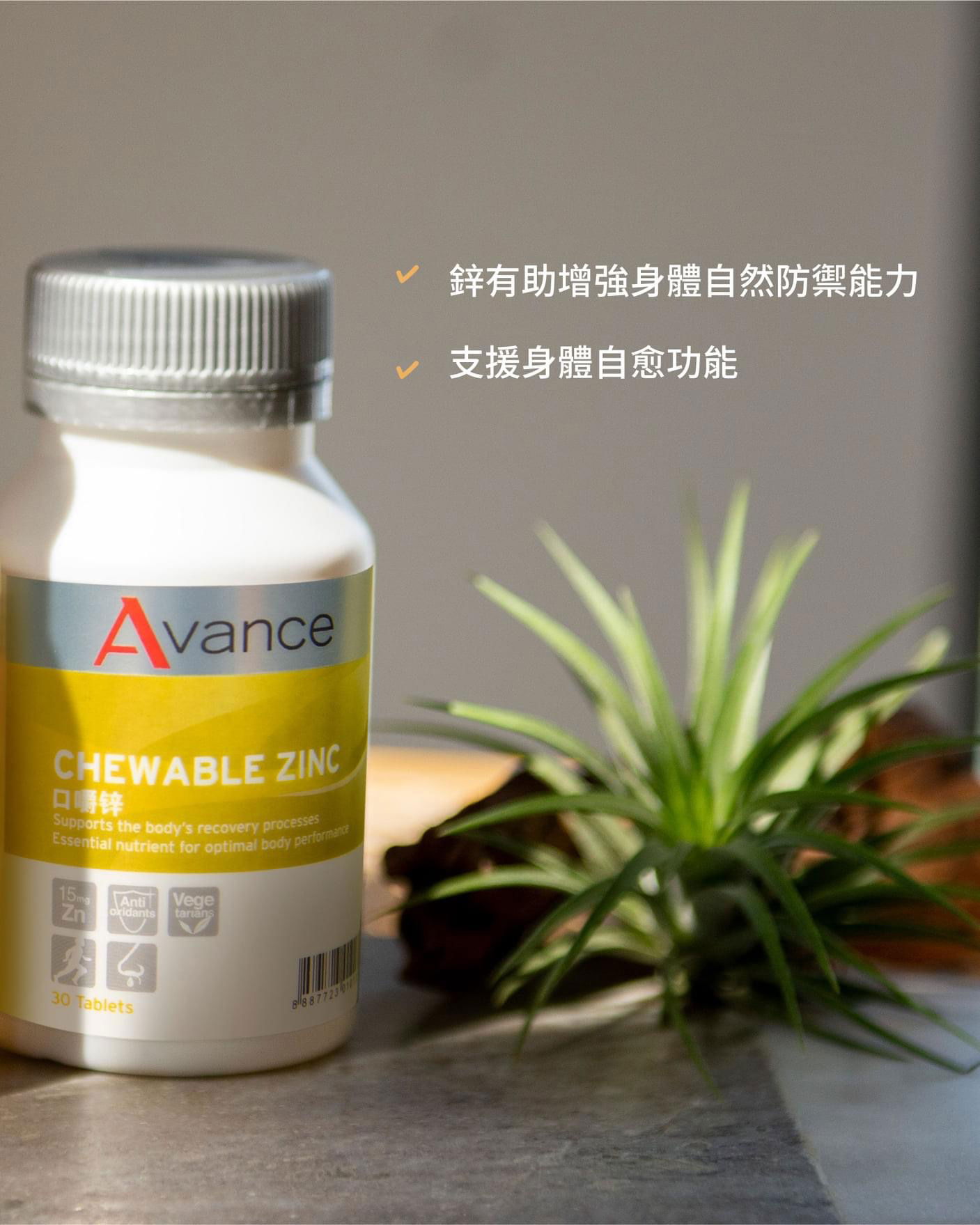 維格爾 口嚼鋅錠食品