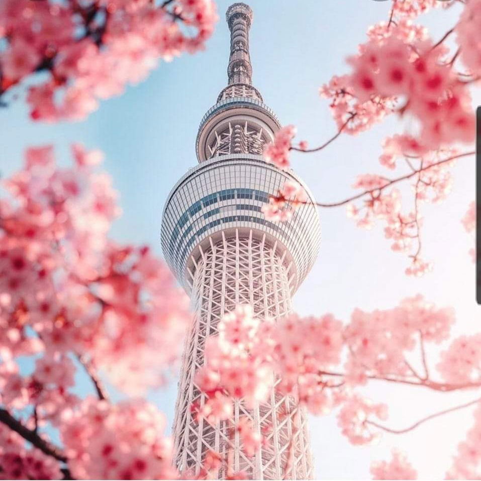 Color Queen -Instagram