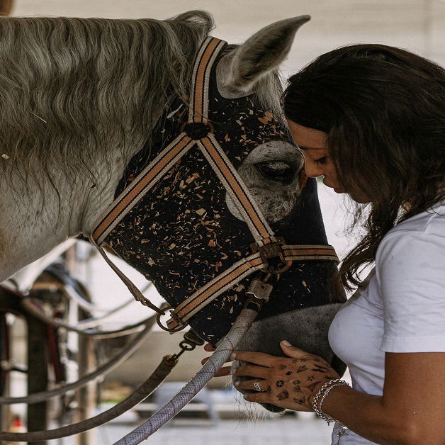 How to be Prepared for an Animal Emergency?