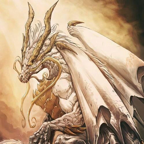 HEYLINK - ASBAKTOGELJP