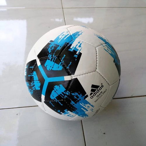 Agent Judi Bola Sportsbook Online di Bengkayang