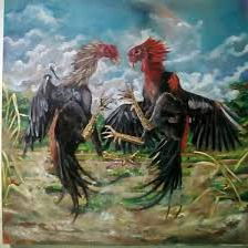 Gambar Ayam Bangkok Siap Adu Magelang