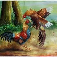 Sabung Ayam Daerah Temanggung