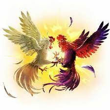 Obat Ayam Bangkok Siap Adu Di Banyumas